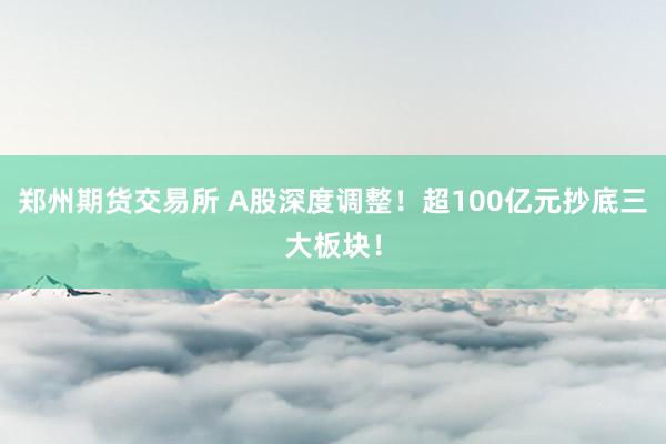 郑州期货交易所 A股深度调整！超100亿元抄底三大板块！