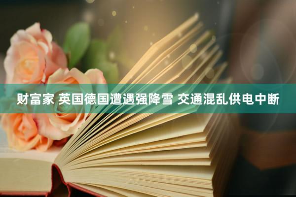 财富家 英国德国遭遇强降雪 交通混乱供电中断
