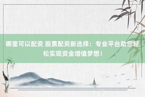 哪里可以配资 股票配资新选择：专业平台助您轻松实现资金增值梦想！