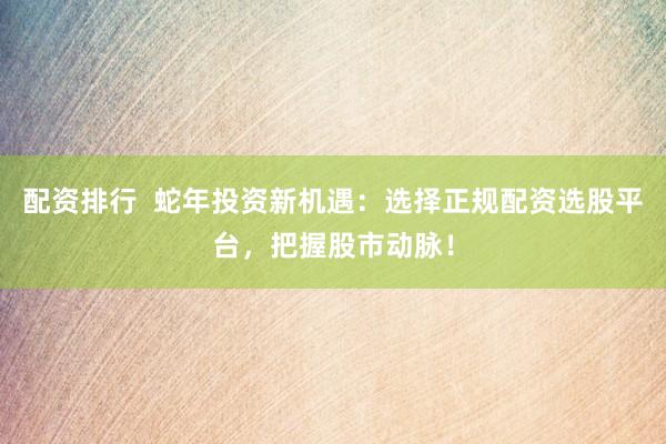 配资排行  蛇年投资新机遇：选择正规配资选股平台，把握股市动脉！