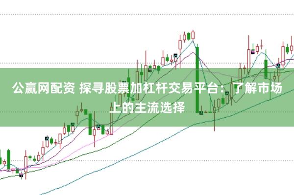 公赢网配资 探寻股票加杠杆交易平台：了解市场上的主流选择