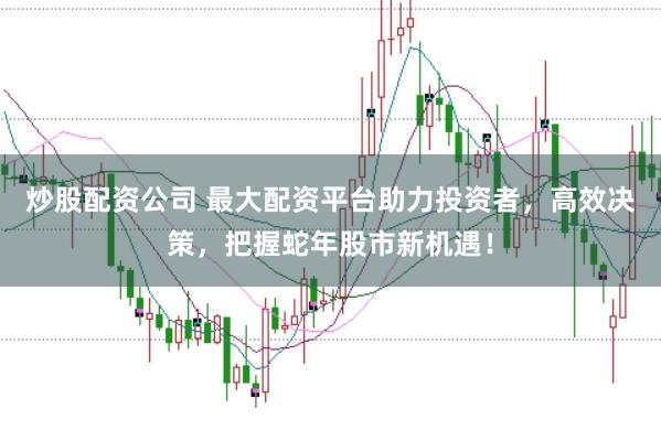 炒股配资公司 最大配资平台助力投资者，高效决策，把握蛇年股市新机遇！
