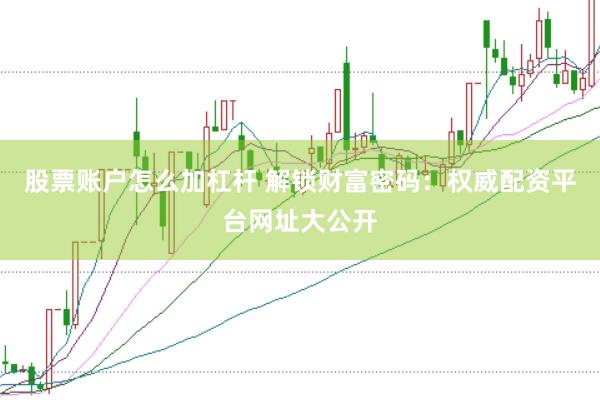 股票账户怎么加杠杆 解锁财富密码：权威配资平台网址大公开