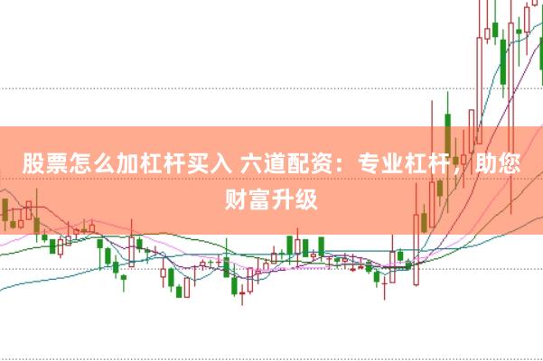 股票怎么加杠杆买入 六道配资：专业杠杆，助您财富升级
