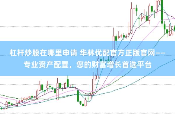 杠杆炒股在哪里申请 华林优配官方正版官网——专业资产配置，您的财富增长首选平台