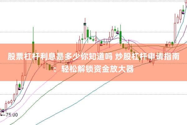 股票杠杆利息是多少你知道吗 炒股杠杆申请指南：轻松解锁资金放大器