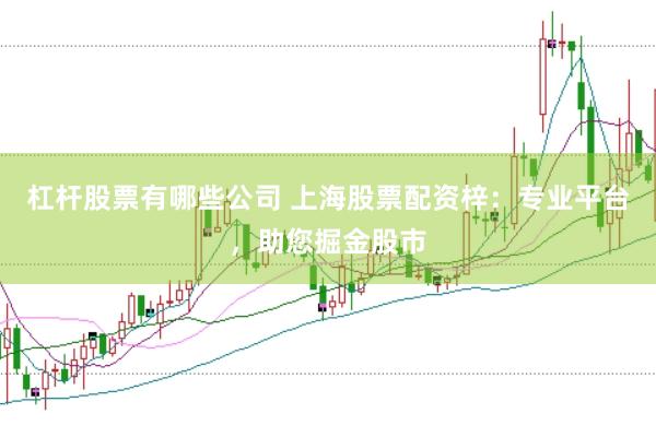 杠杆股票有哪些公司 上海股票配资梓：专业平台，助您掘金股市