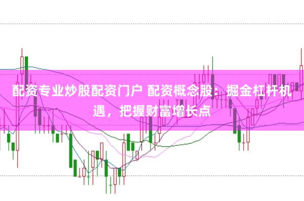 配资专业炒股配资门户 配资概念股：掘金杠杆机遇，把握财富增长点