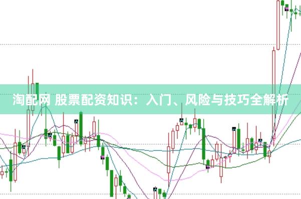 淘配网 股票配资知识：入门、风险与技巧全解析