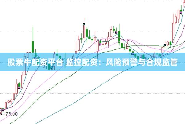 股票牛配资平台 监控配资：风险预警与合规监管