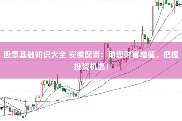 股票基础知识大全 安徽配资：助您财富增值，把握投资机遇！