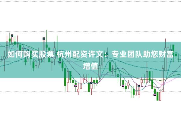 如何购买股票 杭州配资许文：专业团队助您财富增值