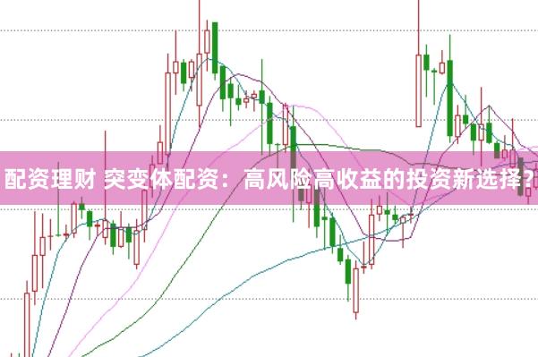 配资理财 突变体配资：高风险高收益的投资新选择？