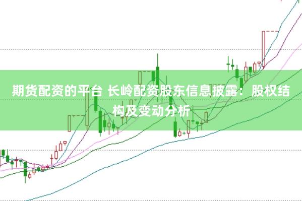 期货配资的平台 长岭配资股东信息披露：股权结构及变动分析