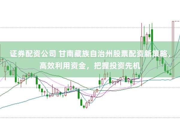 证券配资公司 甘南藏族自治州股票配资新策略，高效利用资金，把握投资先机