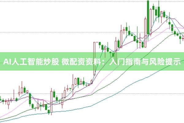 AI人工智能炒股 微配资资料：入门指南与风险提示