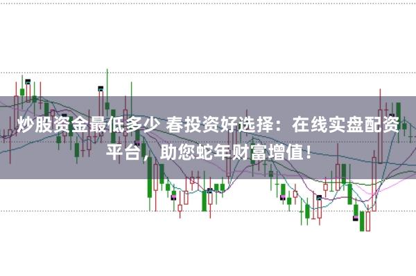 炒股资金最低多少 春投资好选择：在线实盘配资平台，助您蛇年财富增值！