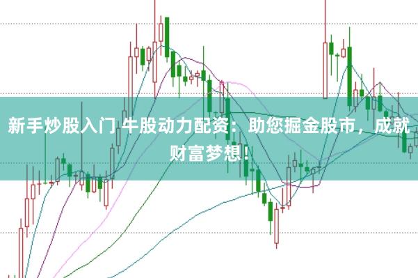 新手炒股入门 牛股动力配资:助您掘金股市,成就财富梦想!
