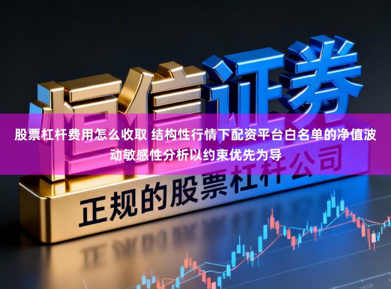 股票杠杆费用怎么收取 结构性行情下配资平台白名单的净值波动敏感性分析以约束优先为导