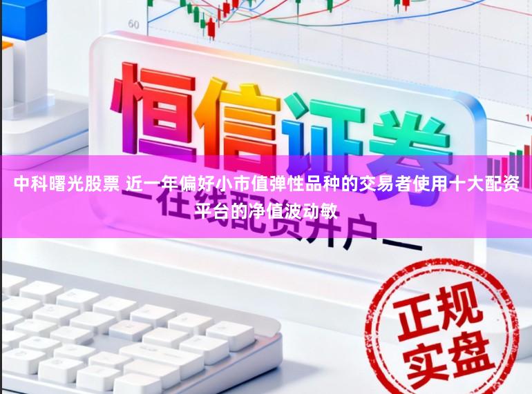 中科曙光股票 近一年偏好小市值弹性品种的交易者使用十大配资平台的净值波动敏